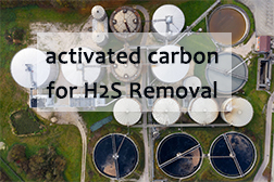 Activated carbon for H2S