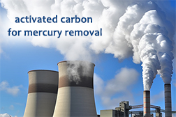 activated carbon for mercury removal