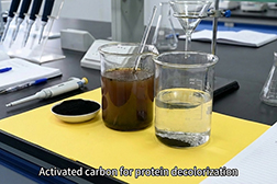 Activated Carbon for Protein
