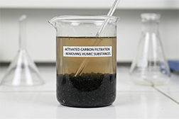 Activated Carbon for Insoluble Humus Removal