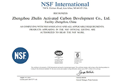 Zhulin Carbon obtained NSF