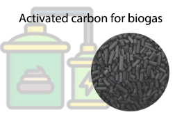 activated carbon for biogas