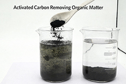 activated carbon for organic matter