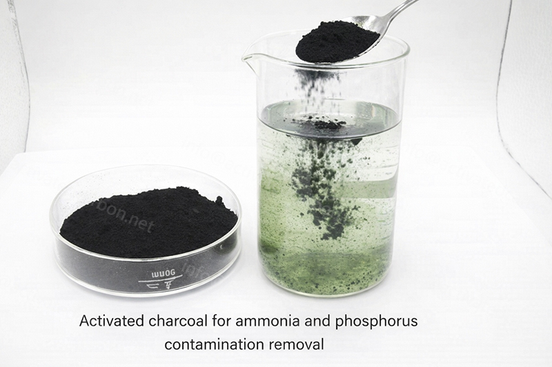 Activated Carbon for Nitrogen and Phosphorus Pollutants
