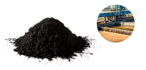 activated carbon for sulfates