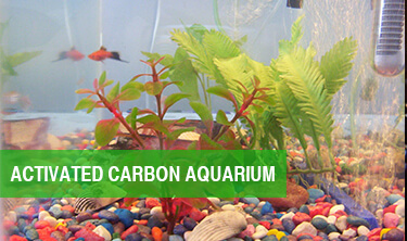 ZHULIN Activated Carbon Aquarium