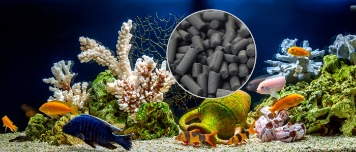 activated carbon in aquarium