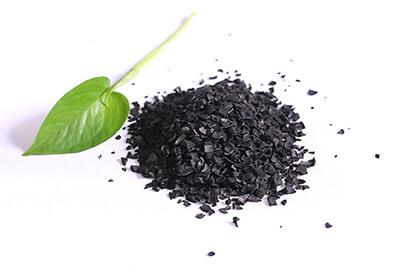 apricot shell activated carbon